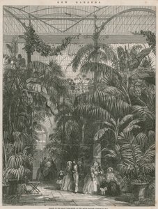 Centre of the Great Palm House at the Royal Botanic Gardens of Kew by English School
