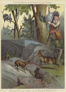 Chamois Hunting and Caper-Cailzie Shooting by English School