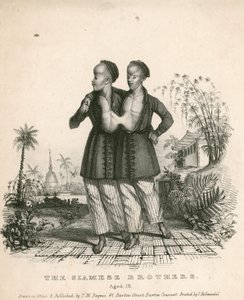 Chang and Eng, the Siamese Youths, aged 18 by English School