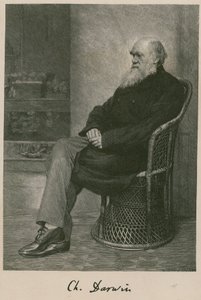 Charles Darwin by English School