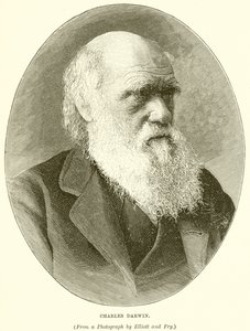 Charles Darwin by English School