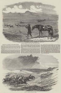 Chase of a Jackal, in the New Forest by English School