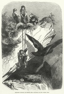 Children Robbing an Eagle