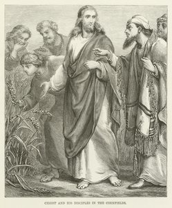 Christ and His Disciples in the Cornfields by English School