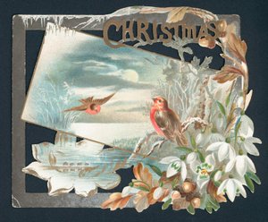 Christmas card with two robins