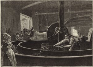 Cider Making in Normandy