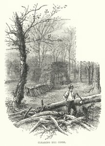 Clearing the Copse by English School