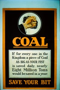 Coal - Save Your Bit