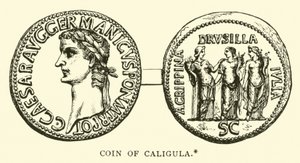 Coin of Caligula by English School