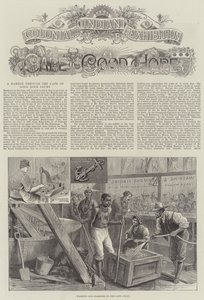 Colonial and Indian Exhibition, Cape of Good Hope