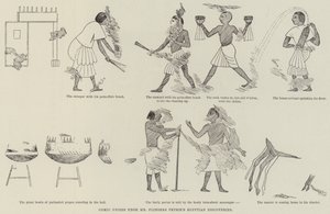 Comic Frieze from Mr Flinders Petrie