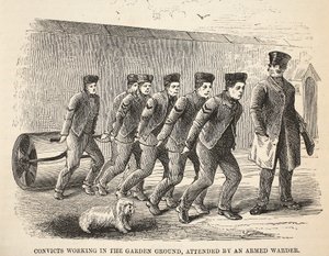 Convicts working in the garden ground, attended by an armed warder, illustration from The Criminal Prisons of London and Scenes from Prison Life by Henry Mayhew and John Binny, published 1862