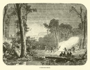 Corroboree