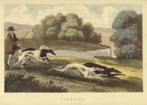Coursing by English School