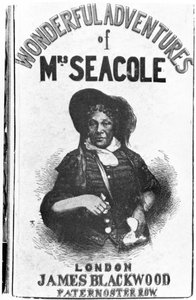 Cover of the First Edition of The Wonderful Adventures of Mrs Seacole by English School
