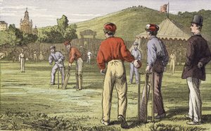 Cricket
