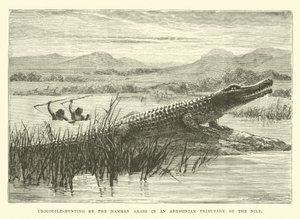 Crocodile-Hunting by the Hamran Arabs in an Abyssinian Tributary of the Nile by English School