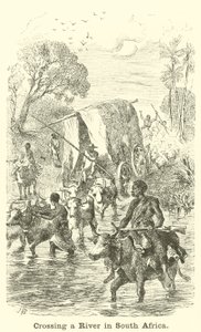 Crossing a River in South Africa