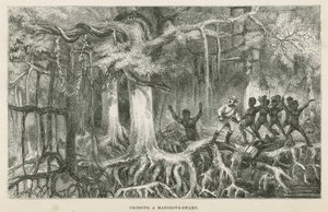 Crossing a mangrove swamp by English School
