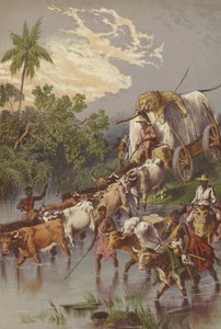 Crossing a stream in South Africa