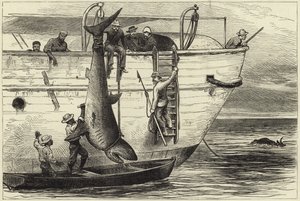 Cutting Up a Shark at Port Louis by English School