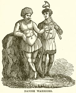Danish Warriors by English School