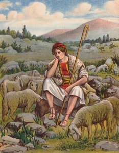 David the Shepherd