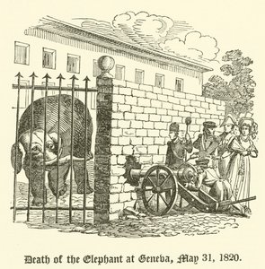 Death of the Elephant at Geneva, 31 May 1820 by English School