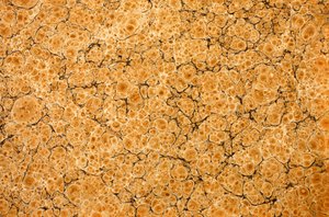 Decorative End Paper by English School