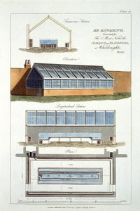Design for An Aquarium, executed for The Marquis of Blandford at Whiteknights, 1806 by English School