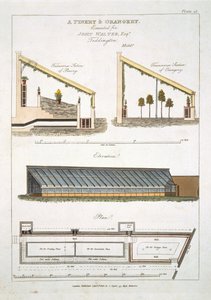 Design for a Pinery and Orangery at Teddington, 1806 by English School