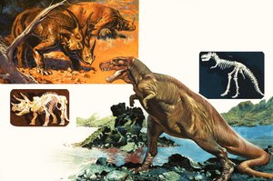 Dinosaurs and Skeletons. Stegosaurus and Tyrannosaurus