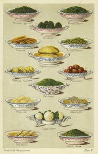 Dishes of Vegetables by English School