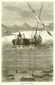 Diving for Pearls by English School