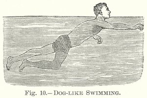 Dog-Like Swimming by English School