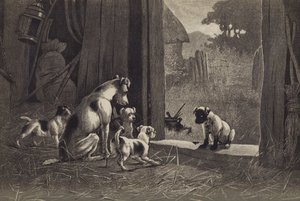 Dog by English School