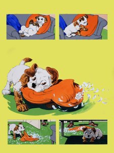 Dog chewing pillow
