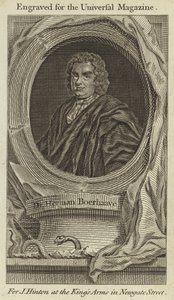 Dr. Herman Boerhaave by English School