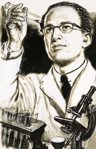 Dr Jonas Salk, Creator of the Polio Vaccine, Looks at a Test Tube by English School