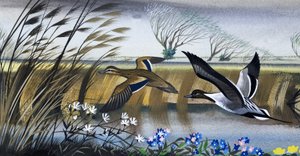 Ducks in flight