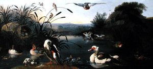 Ducks on a Pond by English School