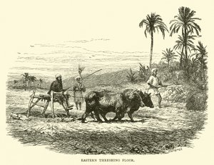 Eastern threshing floor by English School