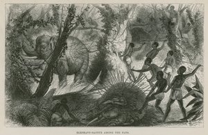 Elephant-Battue among the Fans