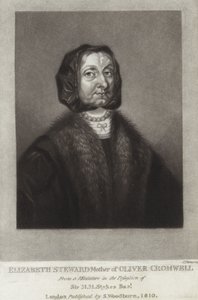 Elizabeth Steward