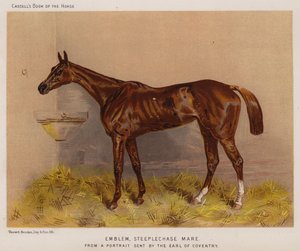 Emblem, Steeplechase Mare
