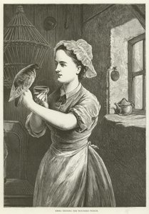 Emma Tending the Wounded Pigeon by English School