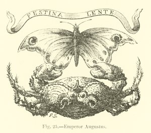 Emperor Augustus by English School