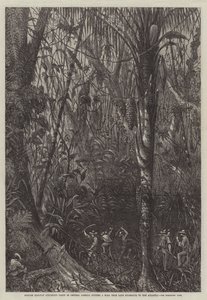 English Railway Surveying Party in Central America cutting a Road from Lake Nicaragua to the Atlantic by English School