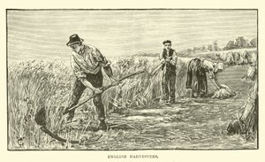 English harvesters by English School