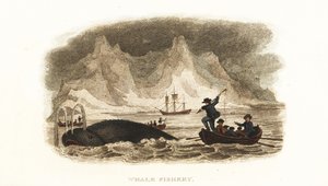 English whalers hunting whales in the Northern Seas near Greenland